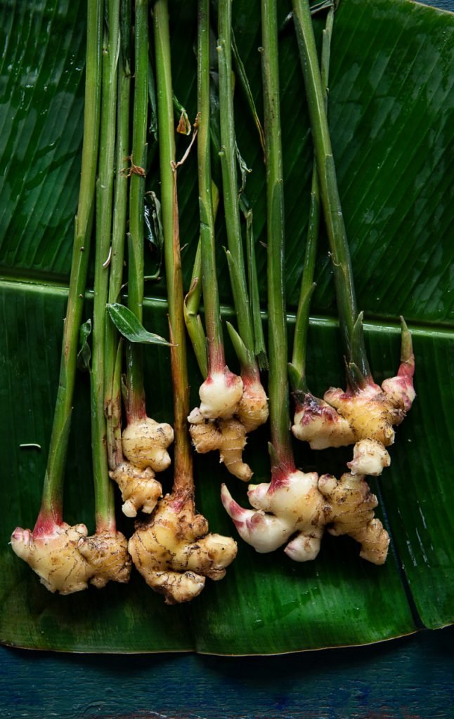 Ginger plants lying on a green leaf.